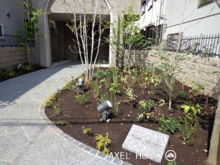 PALM　GARDEN　（パームガーデン）