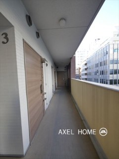 アデニウム新橋