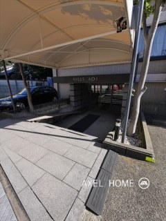 ヒルズ葵
