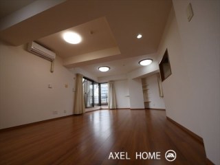 ライオンズプラザ東麻布