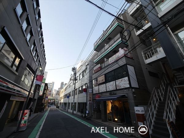 ブランズ新宿富久町