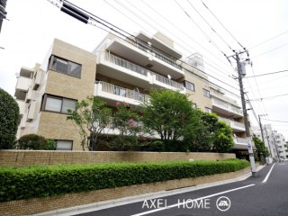 ヴェラハイツ小石川