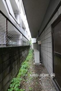 フラッツイトウ