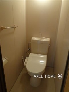 ボラールホソカワ