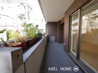 代々木デュープレックス