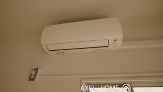AXEL荒木町ビル　(1棟貸し　事務所　店舗)