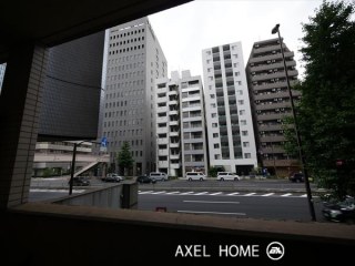 トーシンフェニックス芝アストラーレ