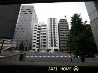 トーシンフェニックス芝アストラーレ
