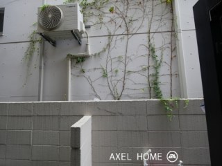 ベルヴェディア
