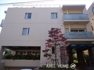 DOGWOOD南麻布 （ドッグウッド）