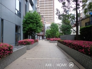 小石川シティハイツ