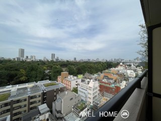マイキャッスル代々木