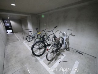 トーシンフェニックス芝アストラーレ