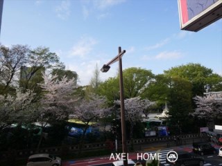 九段千鳥ヶ淵テラス