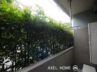 アプリコットテラス