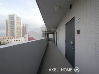 KAMOME （カモメ）