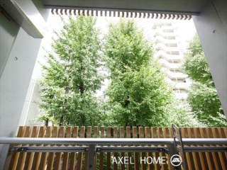 サイプレスオナリモン（CYPRESS ONARIMON）