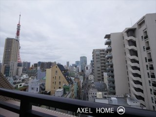ライオンズプラザ東麻布