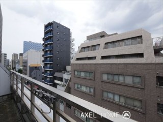 ASITIS芝（アジティス芝）