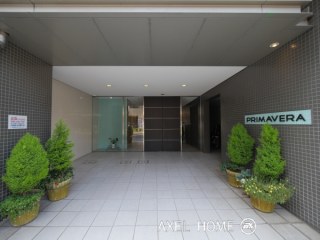プリマヴェーラ （PRIMAVERA）