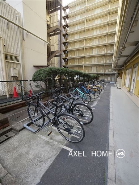 東京ベイビュウ