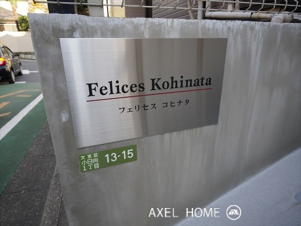 フェリセス　コヒナタ