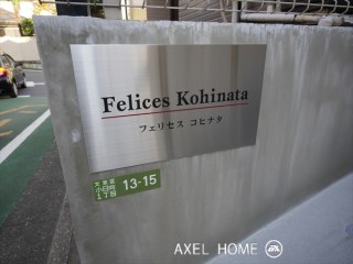 フェリセス　コヒナタ