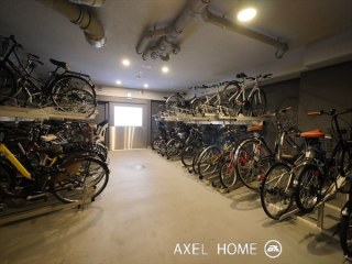アデニウム東神田