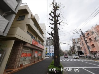 サンテ小石川