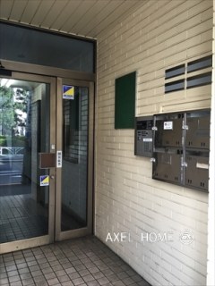 モルフォ