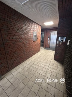 アオキビスポークビル