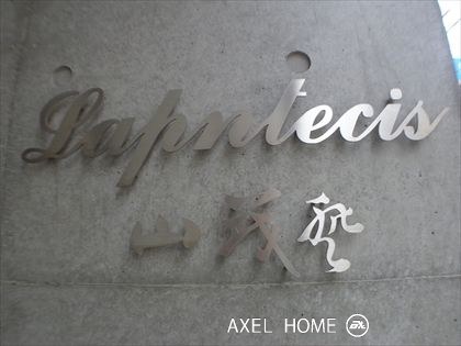ラプンテシスヤマモト （Lapntecis）