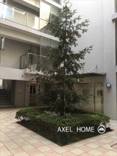ビラハイツ参宮橋