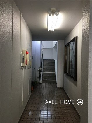モルフォ