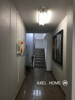 モルフォ