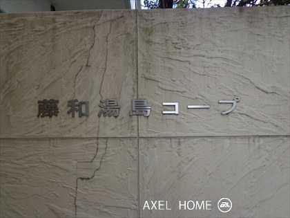 藤和湯島コープ