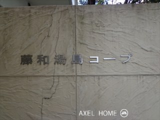 藤和湯島コープ