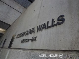 小石川ウォールズ