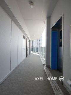 M白金台