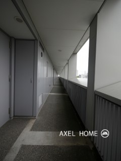 表参道ヒルズゼルコバテラス　（WEST EAST）