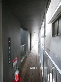 コルテ (corte)