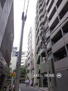 HIVE TOKYO(ハイブトーキョー)