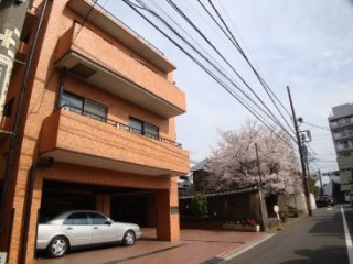 南青山パークハイツ