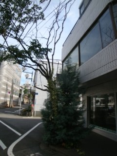フォーラム千駄ヶ谷（店舗　事務所）