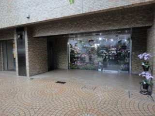 ドミール南青山 （DEMEURE MINAMI AOYAMA）