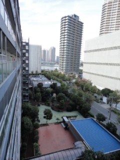 豊洲ハイライズ