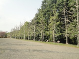 プラウド新宿御苑エンパイア　
