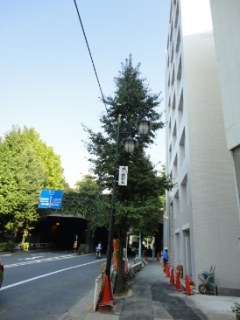 Klavier神宮前（クラヴィーア神宮前）