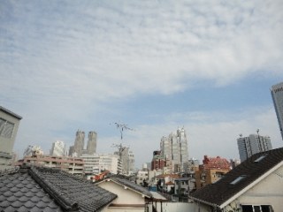 アコールティセラ初台