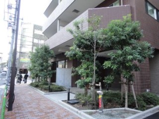 サンクタス127